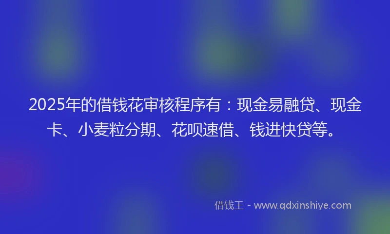 2025年的借钱花审核程序有：现金易融贷、现金卡、小麦粒分期、花呗速借、钱进快贷等。
