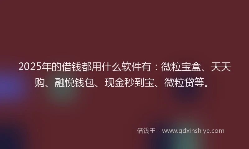 2025年的借钱都用什么软件有：微粒宝盒、天天购、融悦钱包、现金秒到宝、微粒贷等。