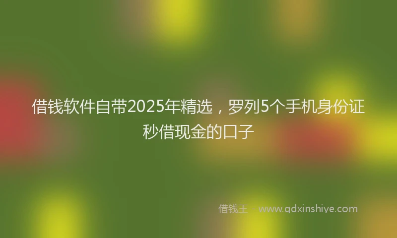 借钱软件自带2025年精选，罗列5个手机身份证秒借现金的口子