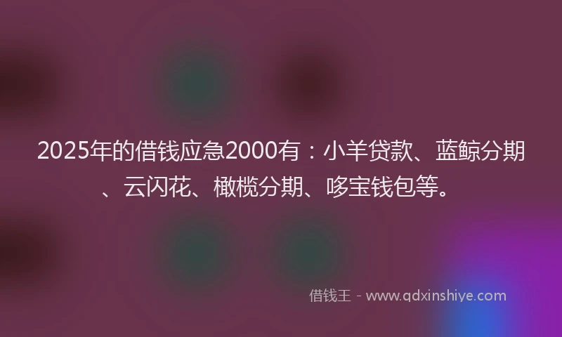 2025年的借钱应急2000有：小羊贷款、蓝鲸分期、云闪花、橄榄分期、哆宝钱包等。