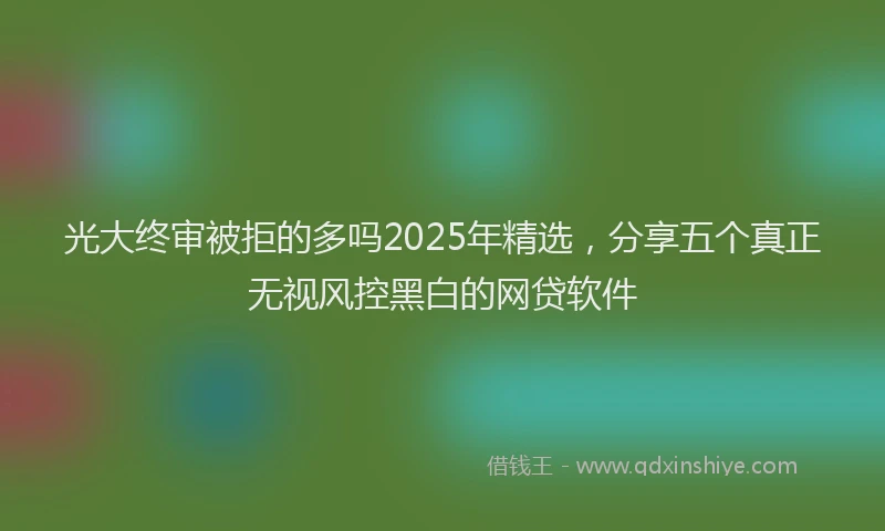 光大终审被拒的多吗2025年精选，分享五个真正无视风控黑白的网贷软件