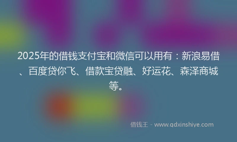 2025年的借钱支付宝和微信可以用有：新浪易借、百度贷你飞、借款宝贷融、好运花、森泽商城等。