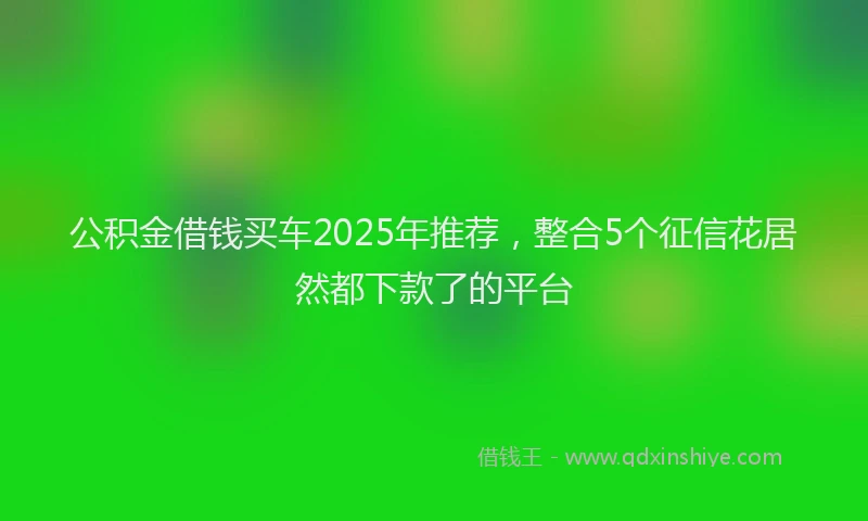 公积金借钱买车2025年推荐，整合5个征信花居然都下款了的平台