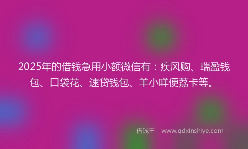 2025年的借钱急用小额微信有：疾风购、瑞盈钱包、口袋花、速贷钱包、羊小咩便荔卡等。