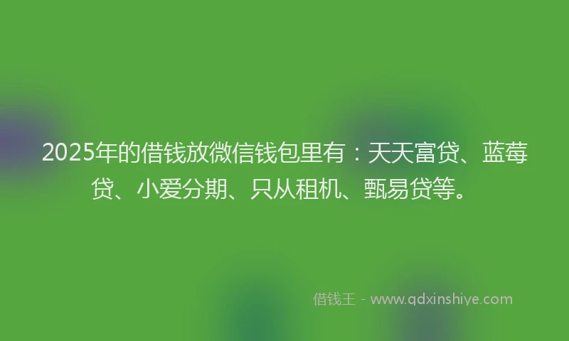 2025年的借钱放微信钱包里有：天天富贷、蓝莓贷、小爱分期、只从租机、甄易贷等。