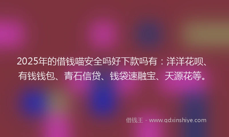 2025年的借钱喵安全吗好下款吗有：洋洋花呗、有钱钱包、青石信贷、钱袋速融宝、天源花等。