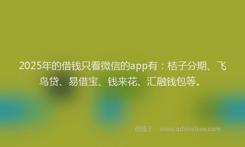 2025年的借钱只看微信的app有：桔子分期、飞鸟贷、易借宝、钱来花、汇融钱包等。