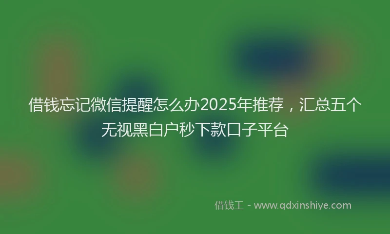 借钱忘记微信提醒怎么办2025年推荐，汇总五个无视黑白户秒下款口子平台