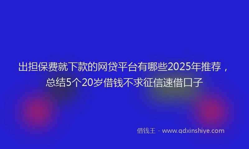出担保费就下款的网贷平台有哪些2025年推荐，总结5个20岁借钱不求征信速借口子