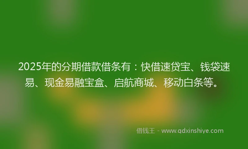 2025年的分期借款借条有：快借速贷宝、钱袋速易、现金易融宝盒、启航商城、移动白条等。