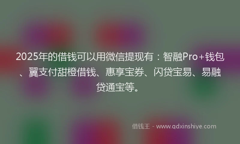 2025年的借钱可以用微信提现有：智融Pro+钱包、翼支付甜橙借钱、惠享宝券、闪贷宝易、易融贷通宝等。