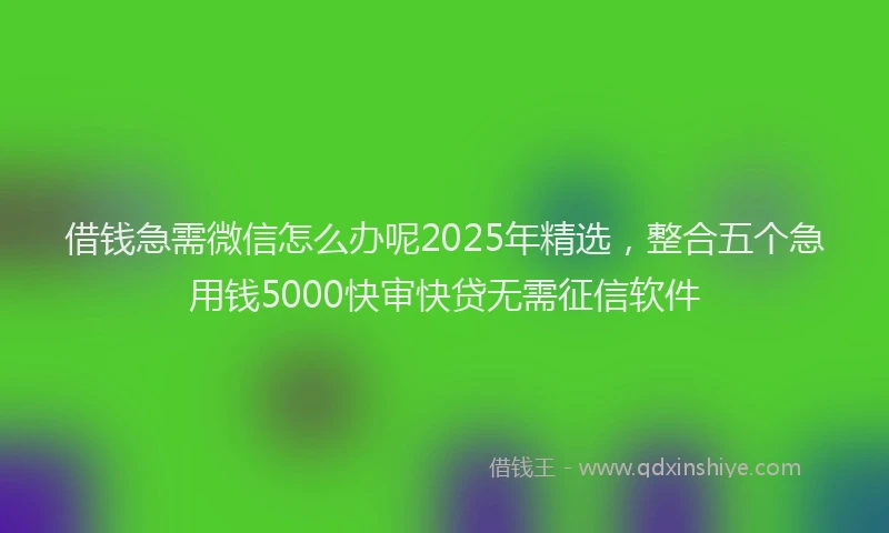 借钱急需微信怎么办呢2025年精选，整合五个急用钱5000快审快贷无需征信软件