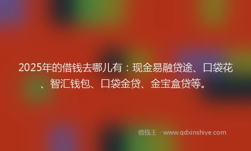 2025年的借钱去哪儿有：现金易融贷途、口袋花、智汇钱包、口袋金贷、金宝盒贷等。