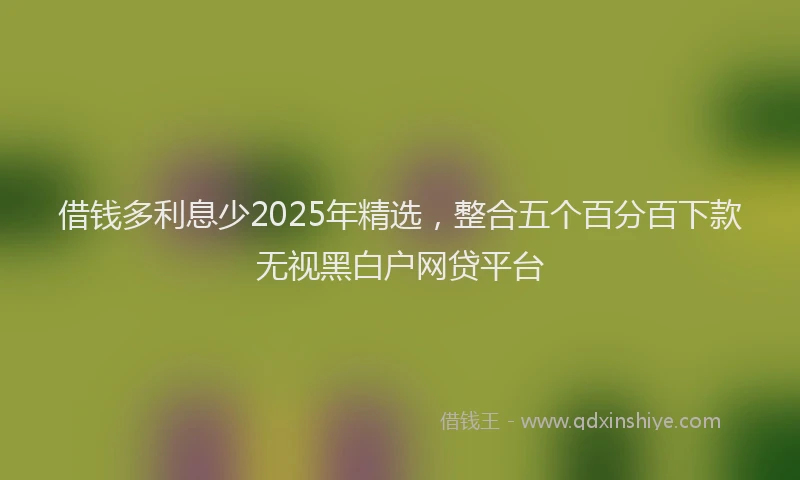 借钱多利息少2025年精选，整合五个百分百下款无视黑白户网贷平台