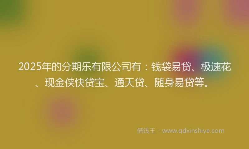 2025年的分期乐有限公司有：钱袋易贷、极速花、现金侠快贷宝、通天贷、随身易贷等。