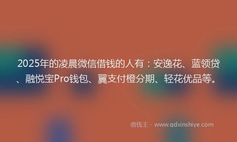 2025年的凌晨微信借钱的人有：安逸花、蓝领贷、融悦宝Pro钱包、翼支付橙分期、轻花优品等。