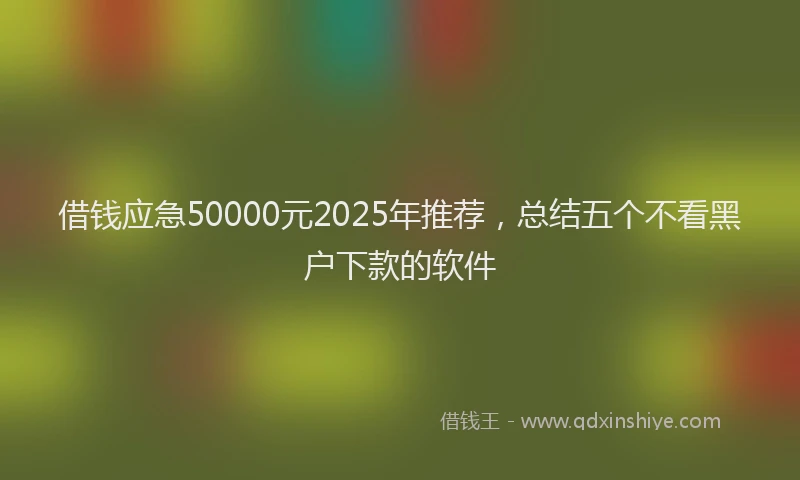 借钱应急50000元2025年推荐，总结五个不看黑户下款的软件