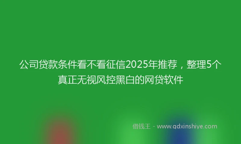 公司贷款条件看不看征信2025年推荐，整理5个真正无视风控黑白的网贷软件