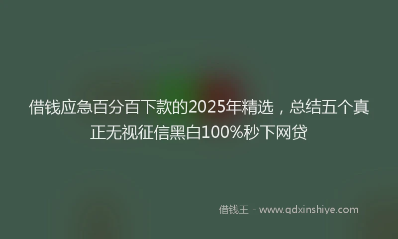 借钱应急百分百下款的2025年精选，总结五个真正无视征信黑白100%秒下网贷