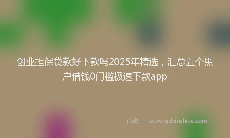 创业担保贷款好下款吗2025年精选，汇总五个黑户借钱0门槛极速下款app