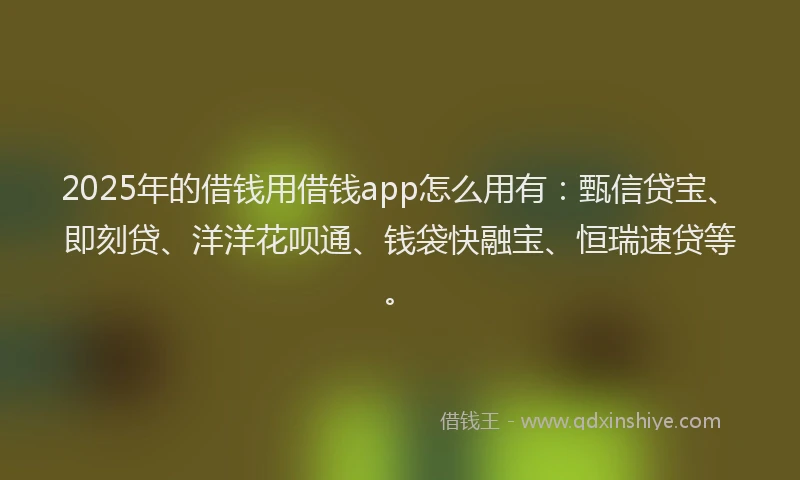 2025年的借钱用借钱app怎么用有：甄信贷宝、即刻贷、洋洋花呗通、钱袋快融宝、恒瑞速贷等。