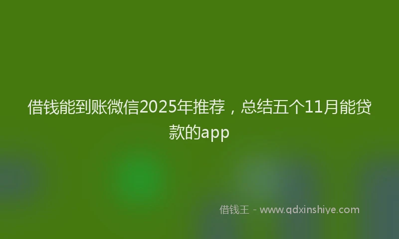 借钱能到账微信2025年推荐，总结五个11月能贷款的app
