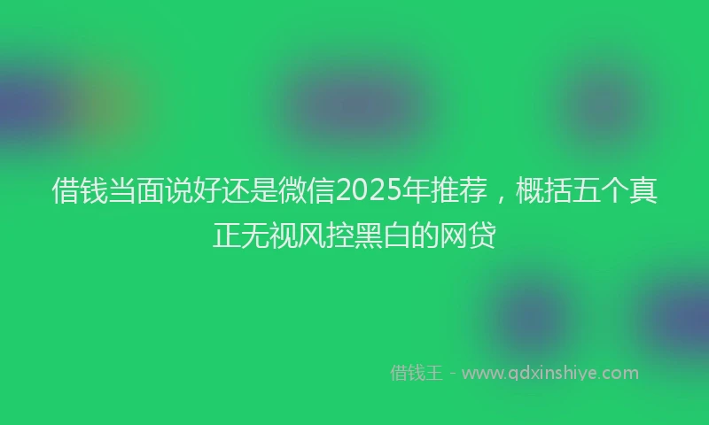 借钱当面说好还是微信2025年推荐，概括五个真正无视风控黑白的网贷