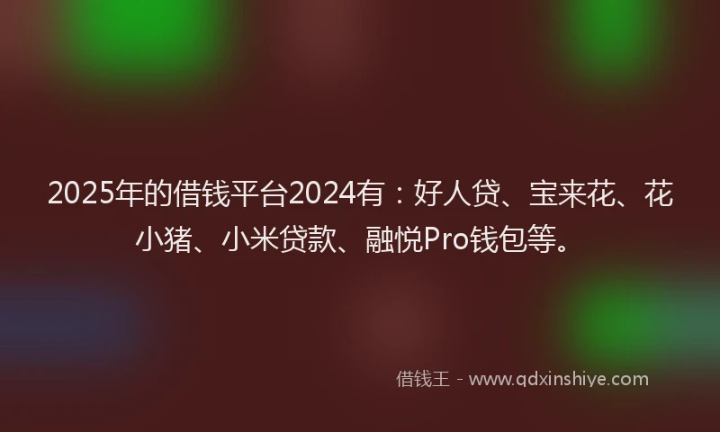 2025年的借钱平台2024有：好人贷、宝来花、花小猪、小米贷款、融悦Pro钱包等。