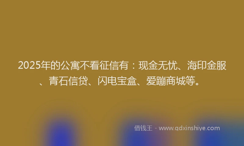 2025年的公寓不看征信有：现金无忧、海印金服、青石信贷、闪电宝盒、爱蹦商城等。