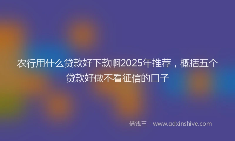 农行用什么贷款好下款啊2025年推荐，概括五个贷款好做不看征信的口子