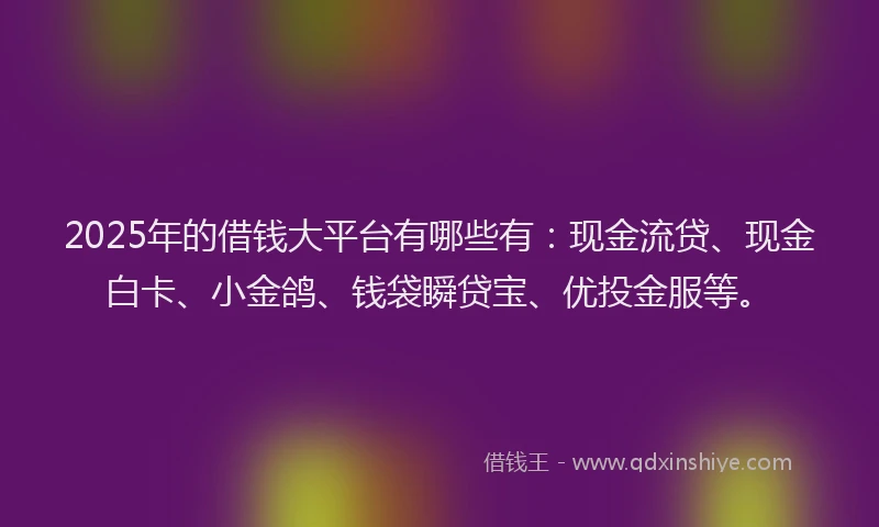 2025年的借钱大平台有哪些有：现金流贷、现金白卡、小金鸽、钱袋瞬贷宝、优投金服等。