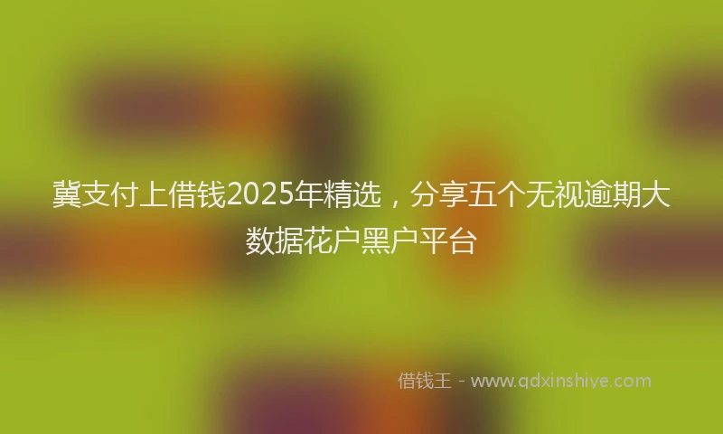 冀支付上借钱2025年精选，分享五个无视逾期大数据花户黑户平台