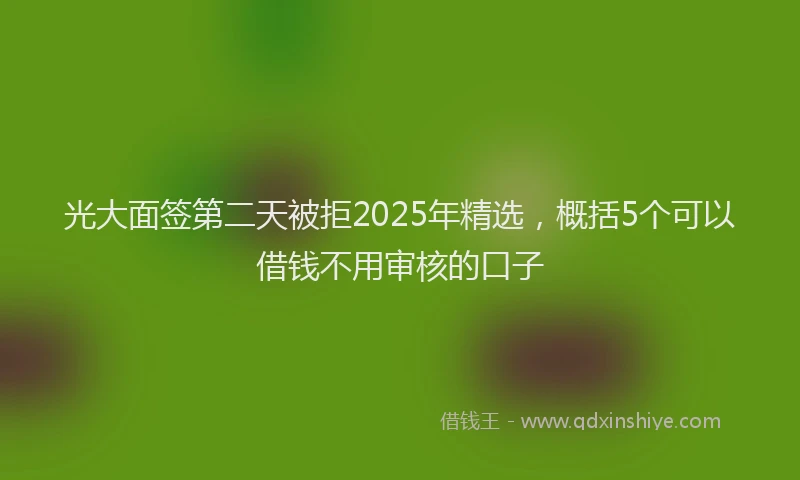 光大面签第二天被拒2025年精选，概括5个可以借钱不用审核的口子