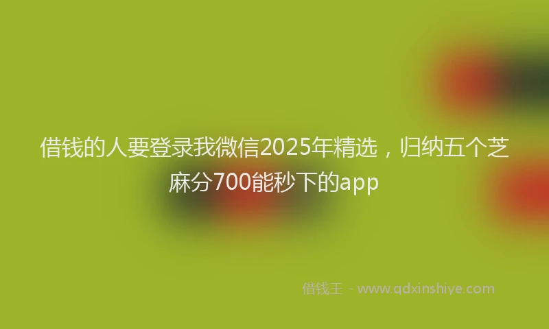 借钱的人要登录我微信2025年精选，归纳五个芝麻分700能秒下的app