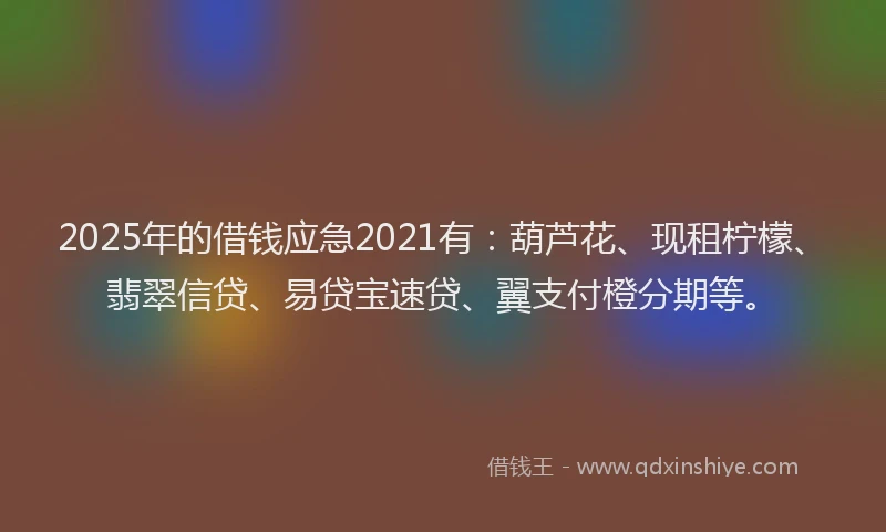 2025年的借钱应急2021有：葫芦花、现租柠檬、翡翠信贷、易贷宝速贷、翼支付橙分期等。