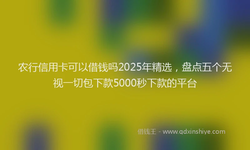 农行信用卡可以借钱吗2025年精选，盘点五个无视一切包下款5000秒下款的平台