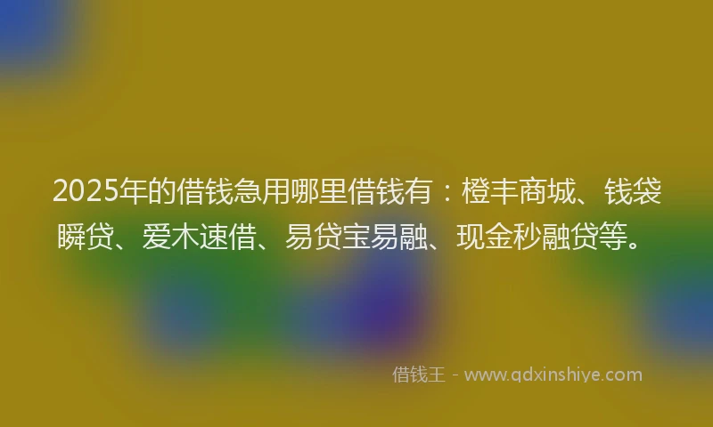 2025年的借钱急用哪里借钱有：橙丰商城、钱袋瞬贷、爱木速借、易贷宝易融、现金秒融贷等。