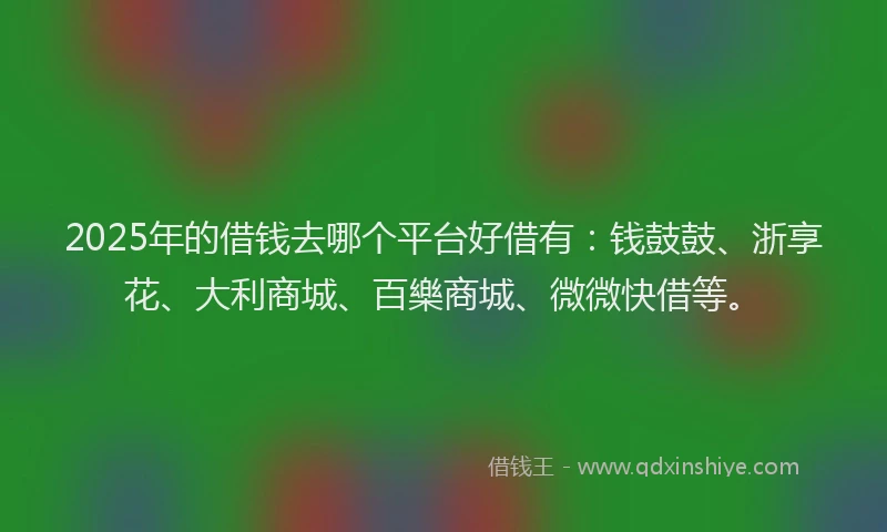 2025年的借钱去哪个平台好借有：钱鼓鼓、浙享花、大利商城、百樂商城、微微快借等。