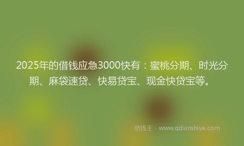 2025年的借钱应急3000快有：蜜桃分期、时光分期、麻袋速贷、快易贷宝、现金快贷宝等。