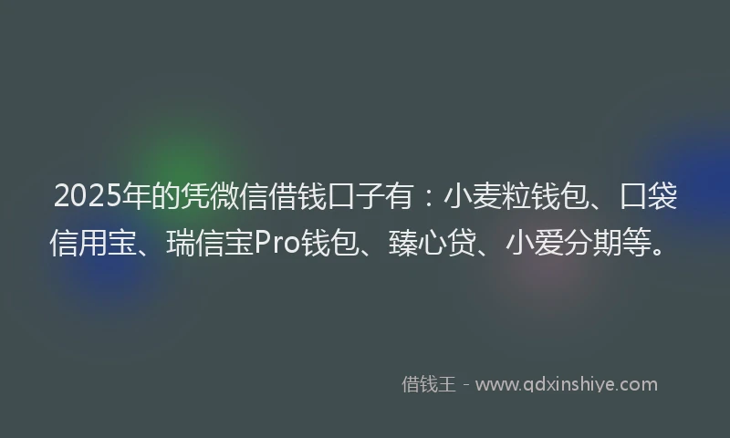 2025年的凭微信借钱口子有：小麦粒钱包、口袋信用宝、瑞信宝Pro钱包、臻心贷、小爱分期等。