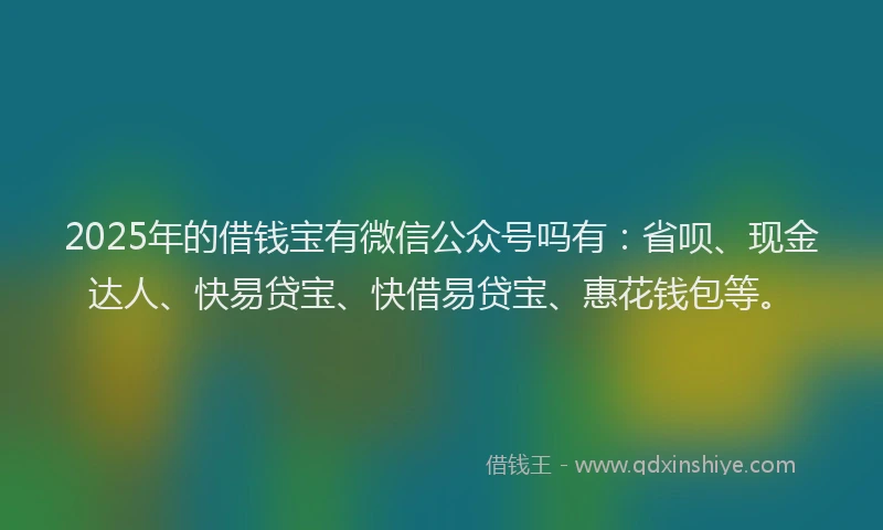 2025年的借钱宝有微信公众号吗有：省呗、现金达人、快易贷宝、快借易贷宝、惠花钱包等。