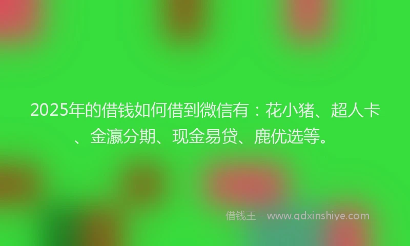 2025年的借钱如何借到微信有：花小猪、超人卡、金瀛分期、现金易贷、鹿优选等。