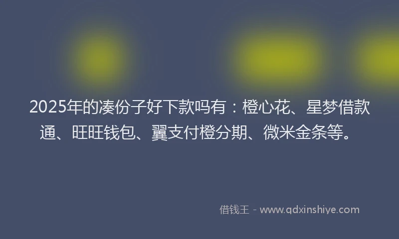2025年的凑份子好下款吗有：橙心花、星梦借款通、旺旺钱包、翼支付橙分期、微米金条等。