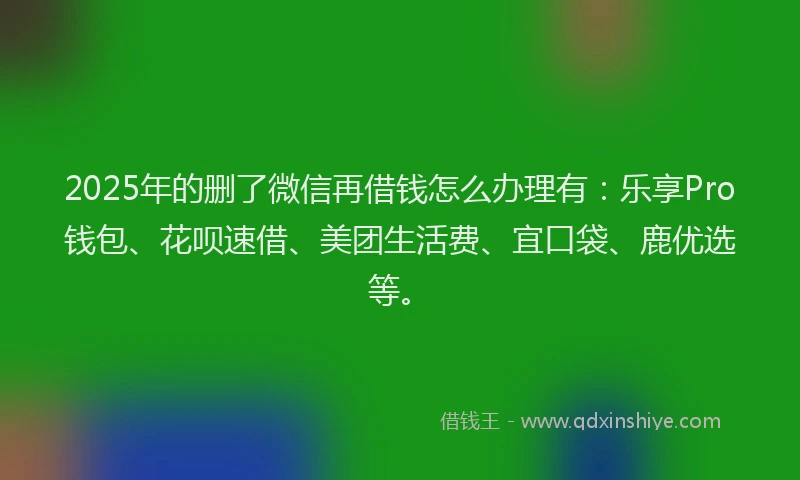 2025年的删了微信再借钱怎么办理有：乐享Pro钱包、花呗速借、美团生活费、宜口袋、鹿优选等。