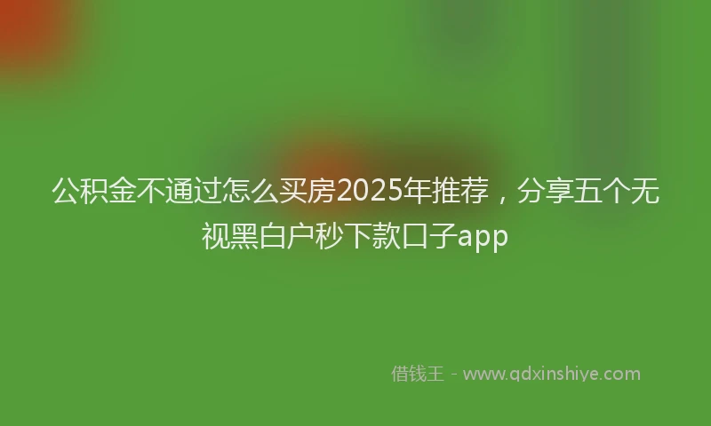 公积金不通过怎么买房2025年推荐，分享五个无视黑白户秒下款口子app