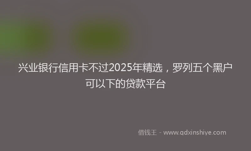 兴业银行信用卡不过2025年精选，罗列五个黑户可以下的贷款平台