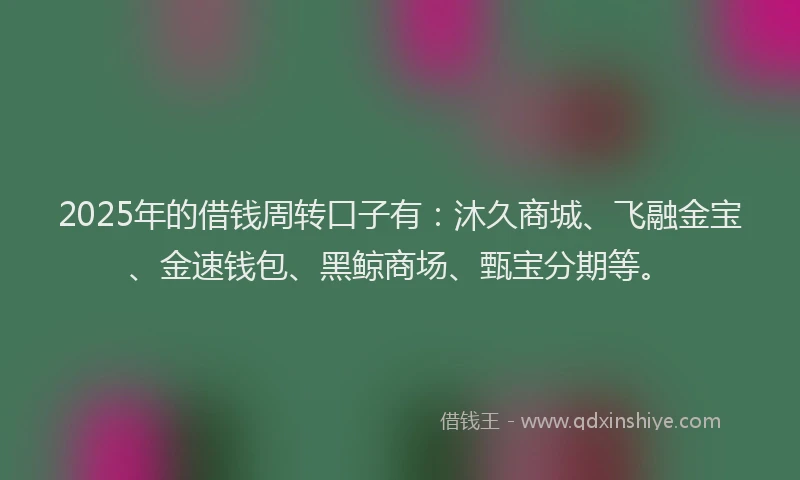 2025年的借钱周转口子有：沐久商城、飞融金宝、金速钱包、黑鲸商场、甄宝分期等。
