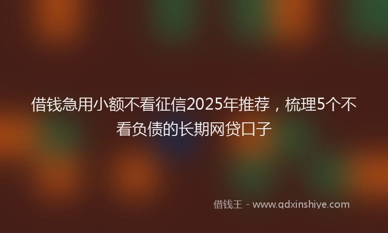 借钱急用小额不看征信2025年推荐，梳理5个不看负债的长期网贷口子
