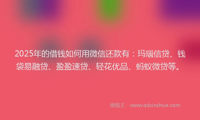 2025年的借钱如何用微信还款有：玛瑙信贷、钱袋易融贷、盈盈速贷、轻花优品、蚂蚁微贷等。