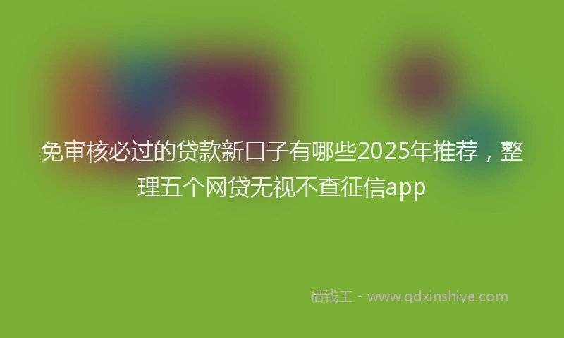 免审核必过的贷款新口子有哪些2025年推荐，整理五个网贷无视不查征信app
